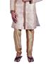 Picture of Graceful Beige Indo Western