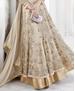 Picture of Sublime Brown Grey Party Wear Salwar Kameez