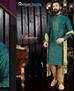 Picture of Excellent Green Sherwani