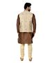 Picture of Alluring Otter Brown Kurtas