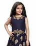 Picture of Statuesque Neavy Blue Kids Gown
