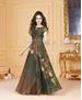 Picture of Beautiful Green Readymade Gown