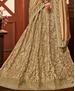 Picture of Comely Golden Lehenga Saree