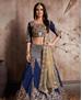 Picture of Well Formed Navy Blue Lehenga Choli