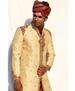 Picture of Gorgeous Golden Sherwani