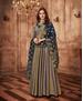 Picture of Classy Brown Readymade Gown