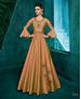 Picture of Good Looking Beige Readymade Gown