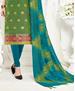 Picture of Sightly Green Straight Cut Salwar Kameez