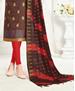 Picture of Lovely Brown Straight Cut Salwar Kameez
