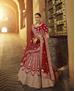 Picture of Magnificent Red Lehenga Choli