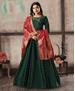 Picture of Charming Green Readymade Gown