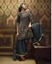 Picture of Comely Dark Grey Straight Cut Salwar Kameez