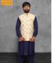 Picture of Enticing Blue Kurtas