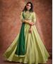 Picture of Marvelous Parrot Green Readymade Salwar Kameez