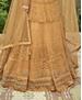 Picture of Classy Gold Party Wear Salwar Kameez