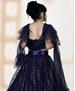 Picture of Well Formed Nevy Blue Kids Lehenga Choli