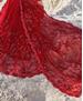 Picture of Alluring Red Net Saree