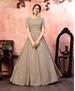Picture of Ideal Beige Party Wear Gown