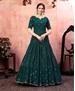 Picture of Shapely Green Party Wear Gown