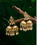 Picture of Enticing Gold Earrings