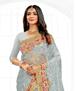 Picture of Sublime Grey Net Saree