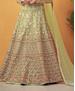 Picture of Taking Beige Party Wear Gown