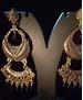 Picture of Graceful Gold Earrings