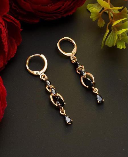 Picture of Lovely Rose Gold Black Earrings