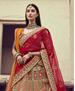 Picture of Comely Beige Lehenga Choli