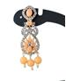 Picture of Ideal Peach Necklace Set