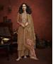 Picture of Delightful Fawn Readymade Salwar Kameez
