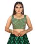 Picture of Graceful Green Designer Blouse