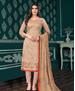 Picture of Comely Fawn Straight Cut Salwar Kameez