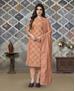 Picture of Amazing Fawn Straight Cut Salwar Kameez