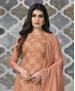 Picture of Amazing Fawn Straight Cut Salwar Kameez