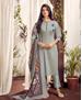 Picture of Charming Gray Readymade Salwar Kameez