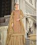 Picture of Excellent Chickoo Party Wear Salwar Kameez