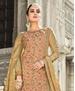 Picture of Excellent Chickoo Party Wear Salwar Kameez