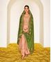 Picture of Well Formed Light Image Straight Cut Salwar Kameez