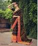 Picture of Lovely Multi Brasso Saree