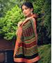 Picture of Lovely Multi Brasso Saree