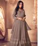 Picture of Gorgeous Light Grey Brown Party Wear Salwar Kameez