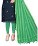 Picture of Lovely Blue Straight Cut Salwar Kameez
