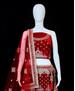 Picture of Enticing Red Lehenga Choli