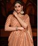 Picture of Shapely Peach Casual Saree