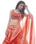 Picture of Sightly Red Lehenga Choli