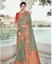 Picture of Bewitching Gray Casual Saree