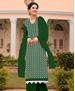 Picture of Shapely Green Straight Cut Salwar Kameez