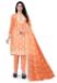 Picture of Bewitching Jonquil Straight Cut Salwar Kameez