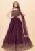 Picture of Fine Georgette Egg Plant Readymade Gown